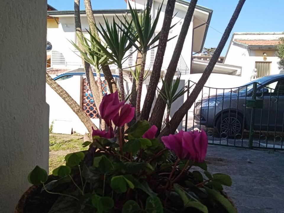 Florinda B&B Viareggio Exterior photo